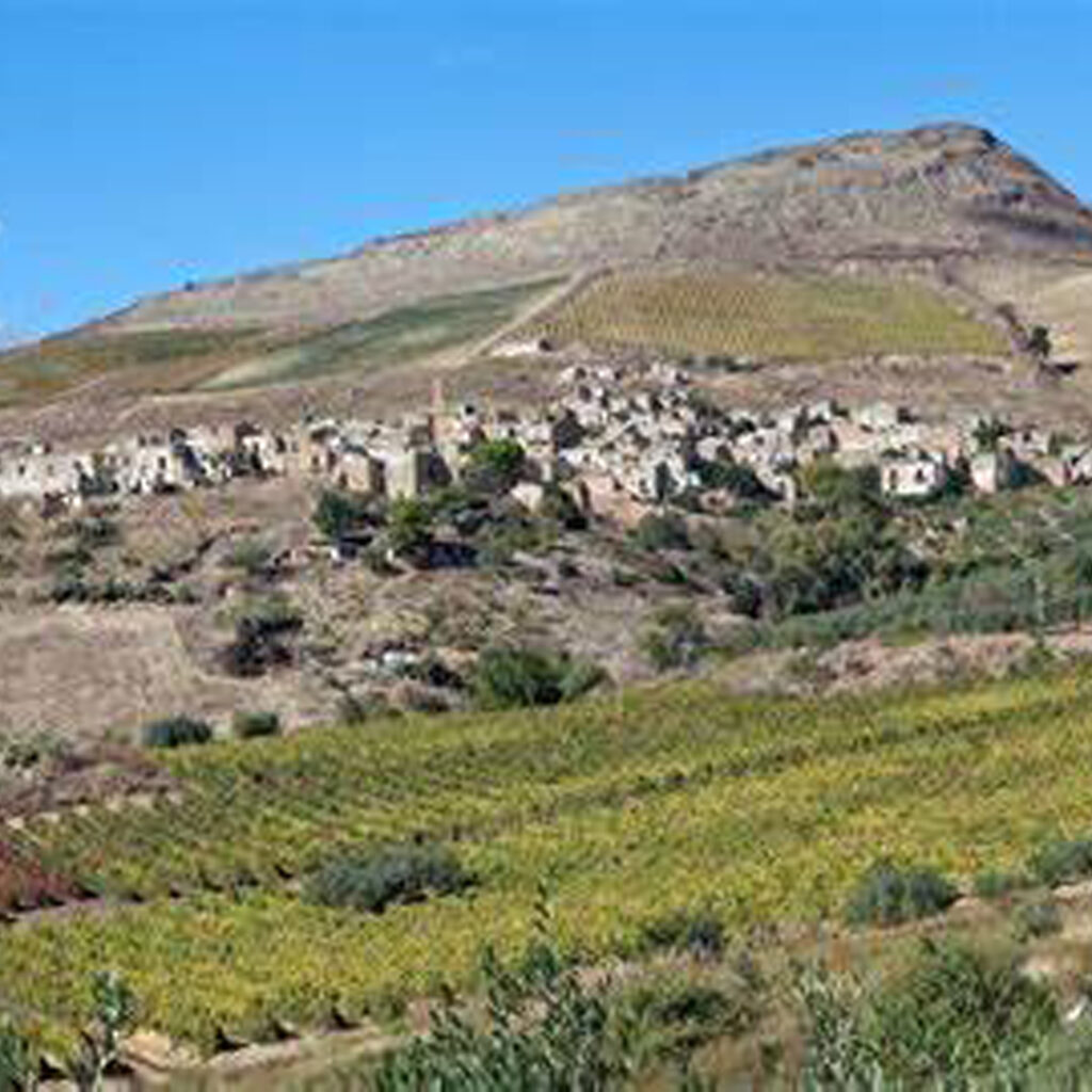 GAL Valle del Belìce - Approvazione Piano di Azione Locale e Piano finanziario 2023-2027 7 gal valle del belice