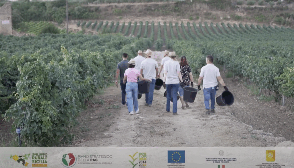 Video promozionale Bando SRE01 del Piano Strategico della PAC 8 Campagne Video promozionali