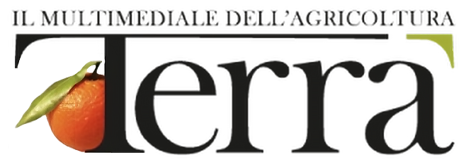 Logo Terra Giornale online agricoltura