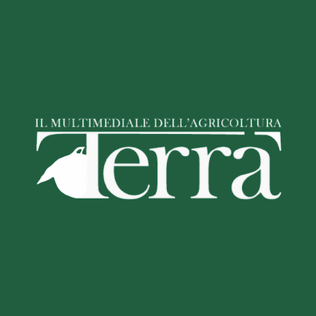 Terra Quadrato x SV