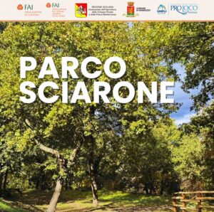 WhatsApp Image 2025 12 16 at 16.55.35