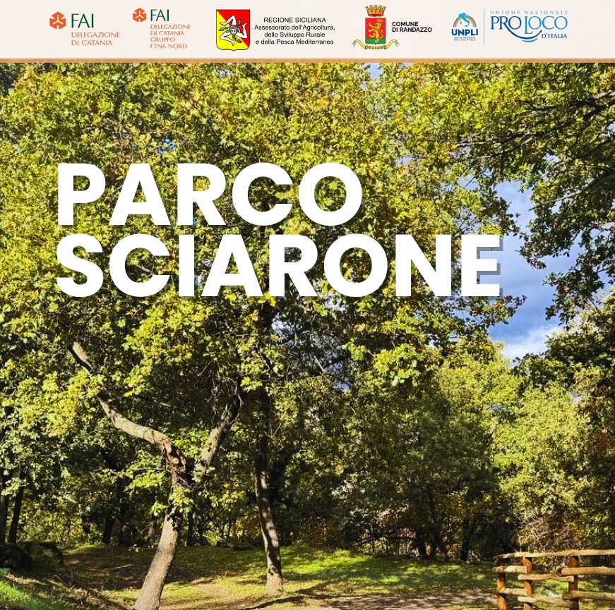 WhatsApp Image 2025 12 16 at 16.55.35