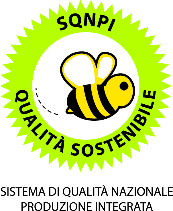 DISCIPLINARE REGIONALE PRODUZIONE INTEGRATA 2026 - NORME TECNICHE AGRONOMICHE 2 Logo SQNPI def