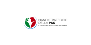 Piano strategico Pac Logo e1707830152960
