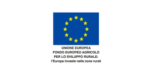 Unione Europea Logo e1707830368522